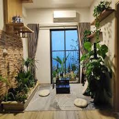 5 LOẠI CÂY PHONG THỦY TRỒNG TRONG NHÀ ĐỂ MANG LẠI MAY MẮN